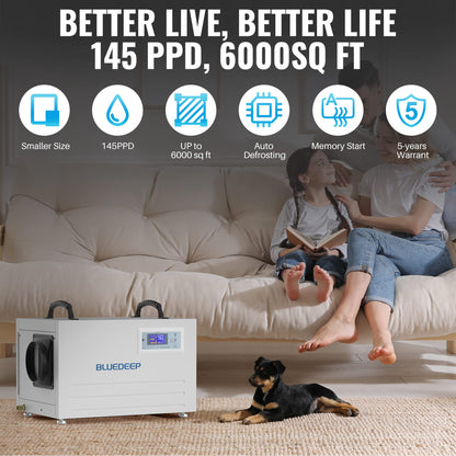 Basement/Crawl Space Dehumidifier,145 Pints (Saturation) 70 Pints Auto Defrost Commercial Dehumidifier with Drain Hose for Water Damage Storage,5 Years Warranty